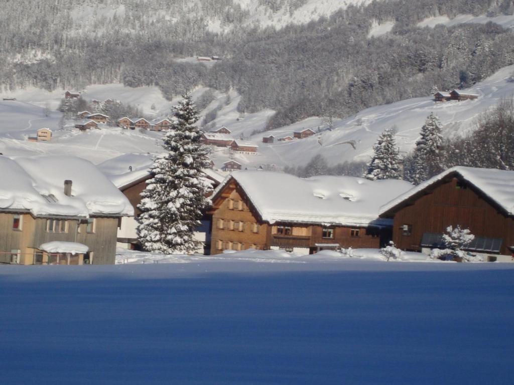 Ferienbauernhof Beer Villa Schoppernau Esterno foto